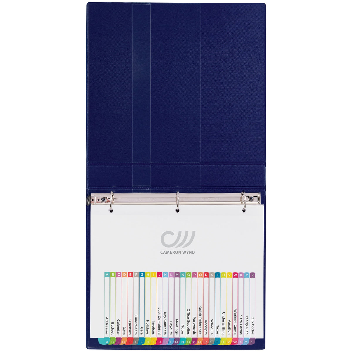 Avery Dividers, 12 Tabs, Ready Index, Contemporary Tabs (11194)