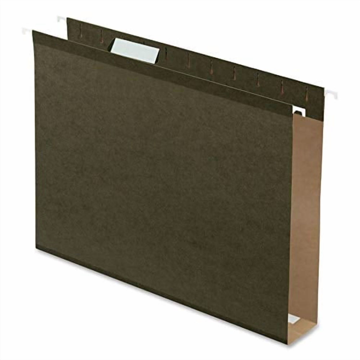Pendaflex Extra Capacity Poly-laminate Hanging File Folders, Letter Size, 25/Pkg-Green, 1/5 Cut Tab
