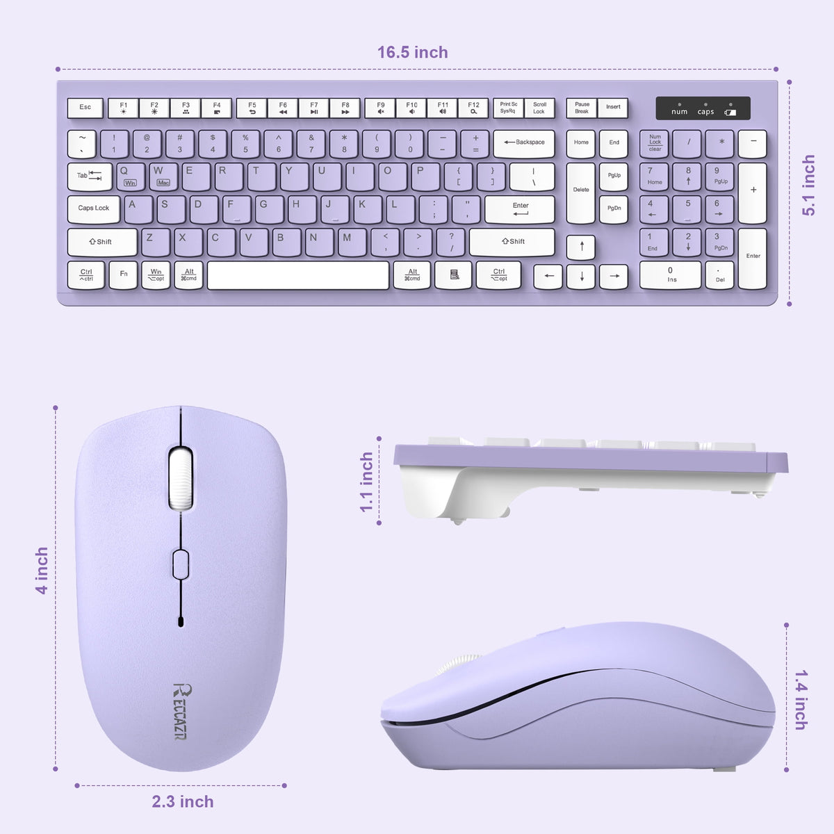 RECCAZR Wireless Keyboard and Mouse Combo , 2.4G Full Size, 12 Multimedia and Shortcut Keys, 3-Year Battery Life, for Windows, Mac OS Desktop/Laptop/PC(Purple)