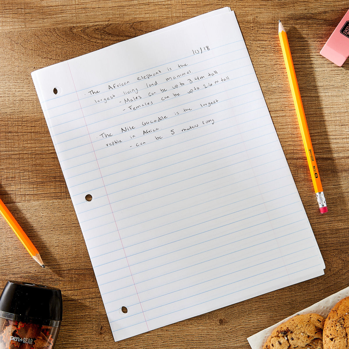 Pen+Gear Wide Ruled 8" x 10.5" Filler Paper, 500 Sheets