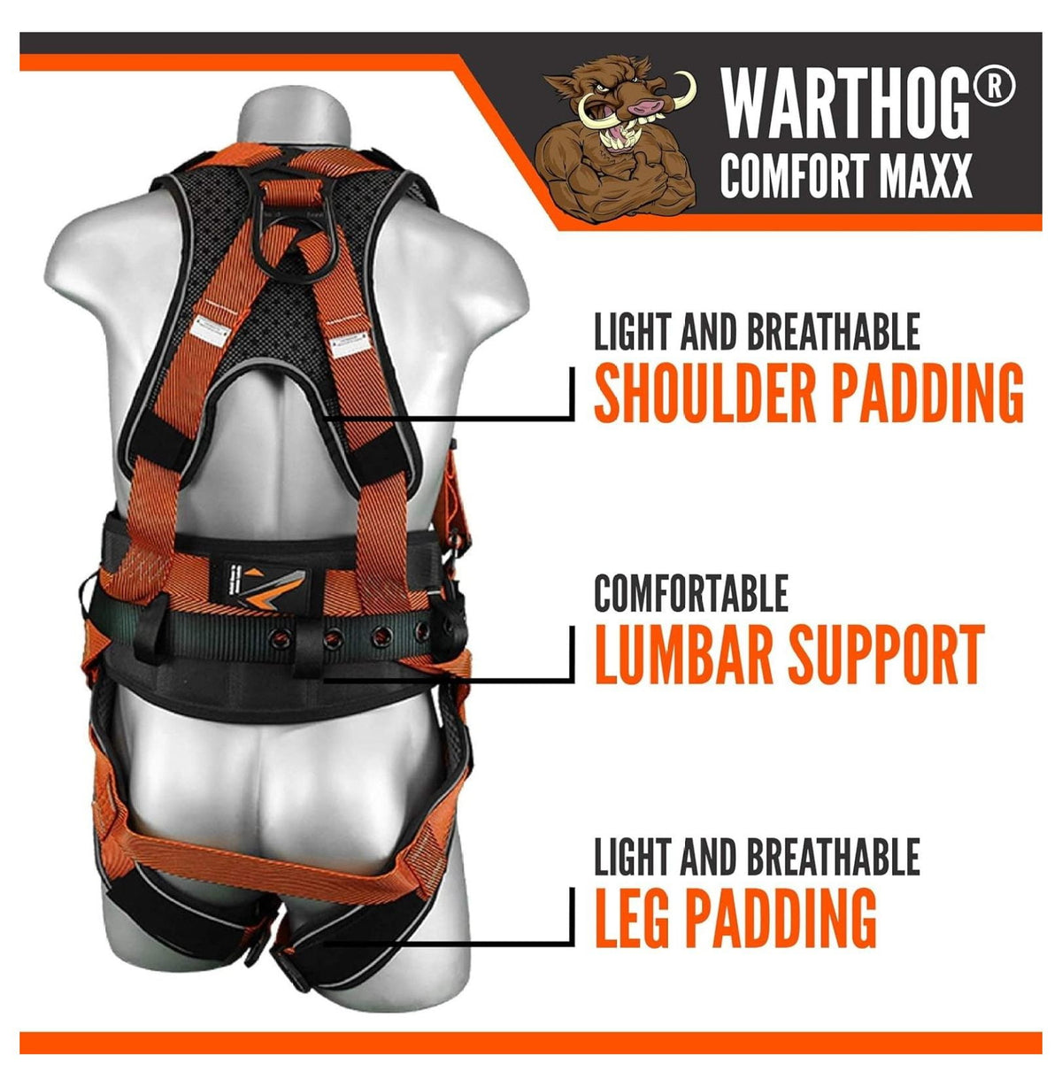 Warthog MAXX - Safety Harness for Construction – Fall Protection Equipment with Removable Belt and Lumbar Support, Side D-Rings, and Padding, OSHA & ANSI Compliant (L-XL)