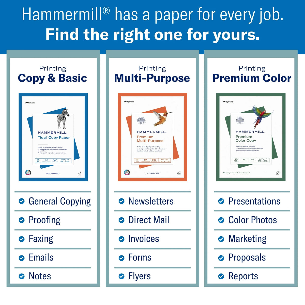 Hammermill Tidal Printer Paper, 20 lb, 8. 5 x 11, 10 Ream Case (5,000 Sheets), White
