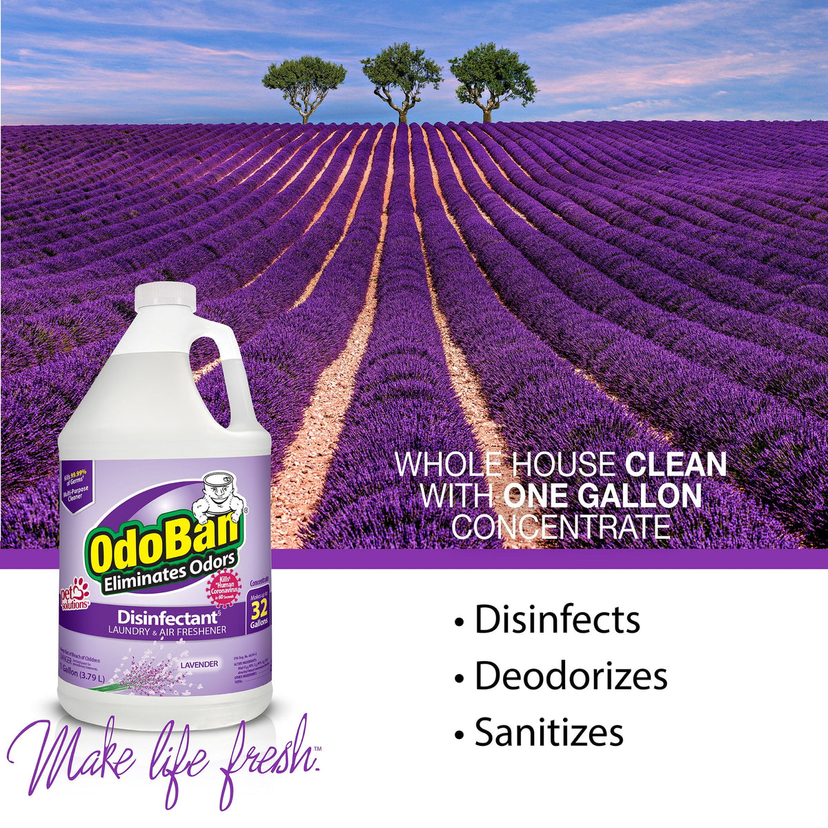 OdoBan Multipurpose Cleaner Concentrate, 2 Gal, Lavender Scent - Odor Eliminator, Disinfectant, Flood Fire Water Damage Restoration
