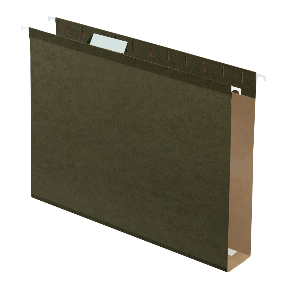 Pendaflex Extra Capacity Poly-laminate Hanging File Folders, Letter Size, 25/Pkg-Green, 1/5 Cut Tab