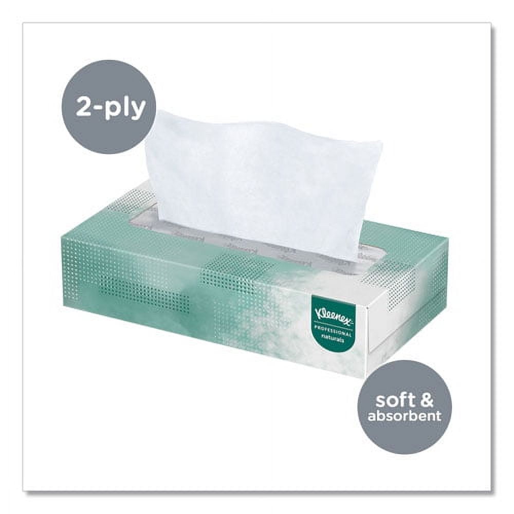 Naturals Facial Tissue for Business, Flat Box, 2-Ply, White, 125 Sheets/Box | Bundle of 2 Boxes