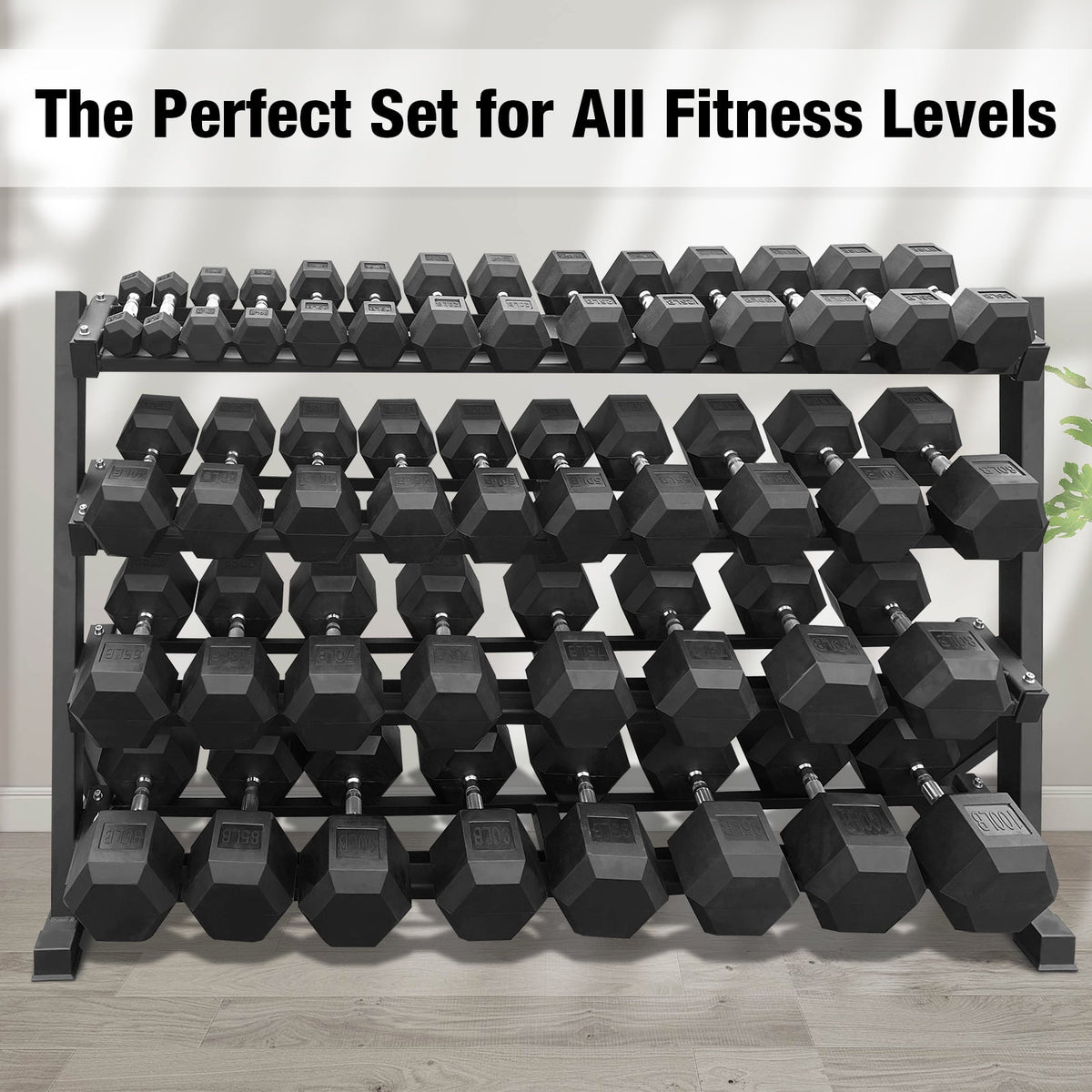 5–100 lbs Dumbbells Weight Set (20 Pairs) with Weight Storage Rack, 2100 lbs Hex Dumbbell Sets, Gyms Weights Dumbbells Sets with Rack, Weight Set for Home Gym, Strength Training