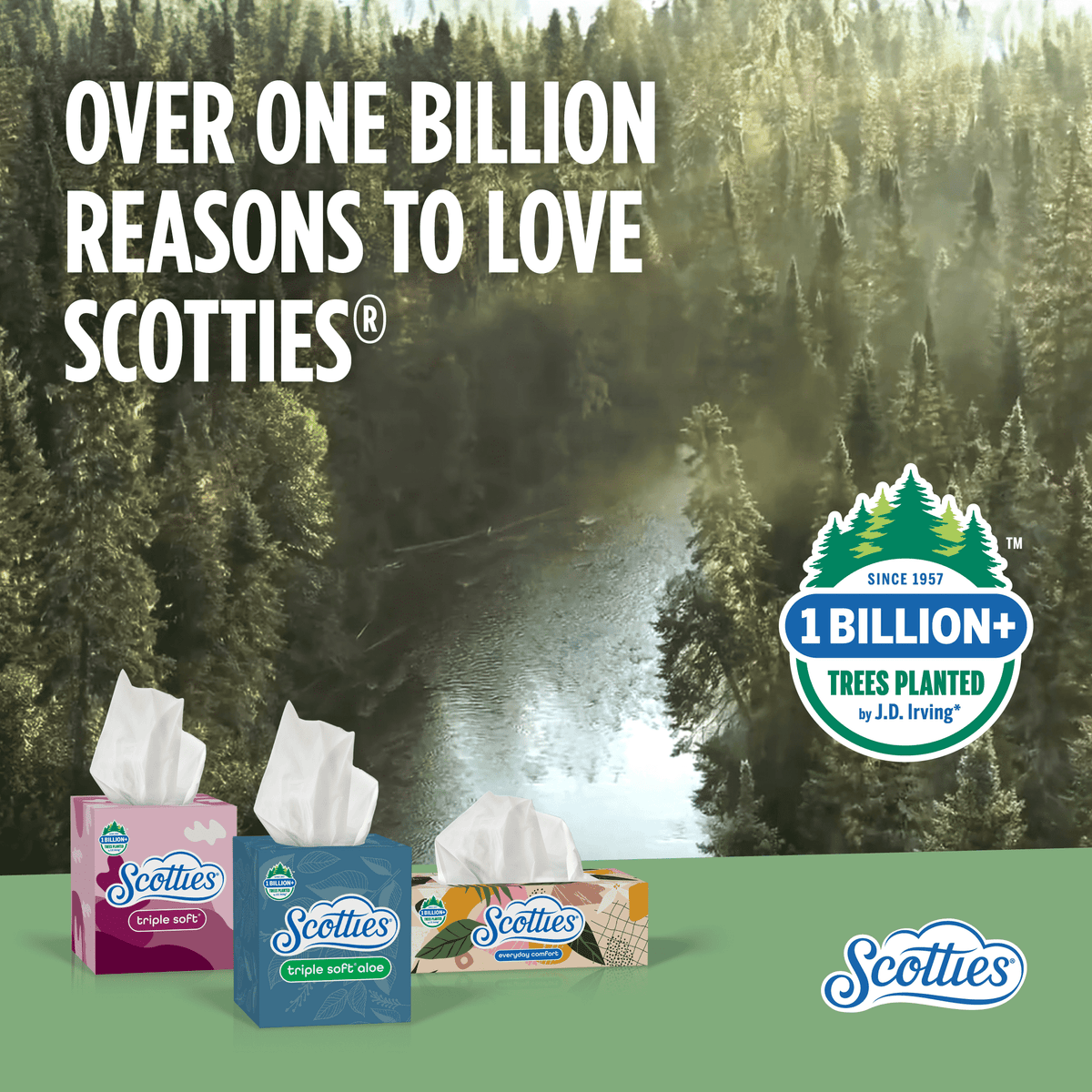 Scotties Everyday Comfort Facial Tissues, 4 Cube Boxes, 64 Facial Tissues per Box, 2-Ply (256 Total Sheets)