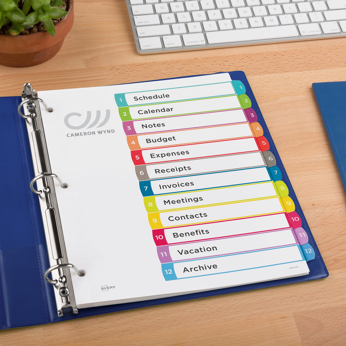 Avery Dividers, 12 Tabs, Ready Index, Contemporary Tabs (11194)