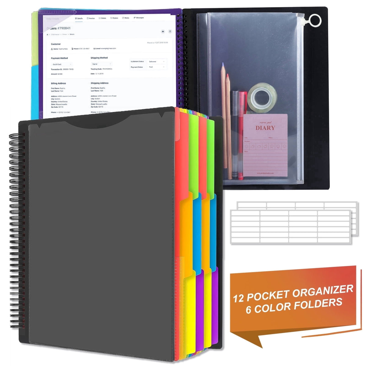AGCAN 24 Pcs 3 Ring Binder Dividers with Tabs, Plastic File Dividers Binder Index Dividers with One Front Pocket and Tab, Multicolor, AGCAN Letter Size (9.8×11.2 Inch)