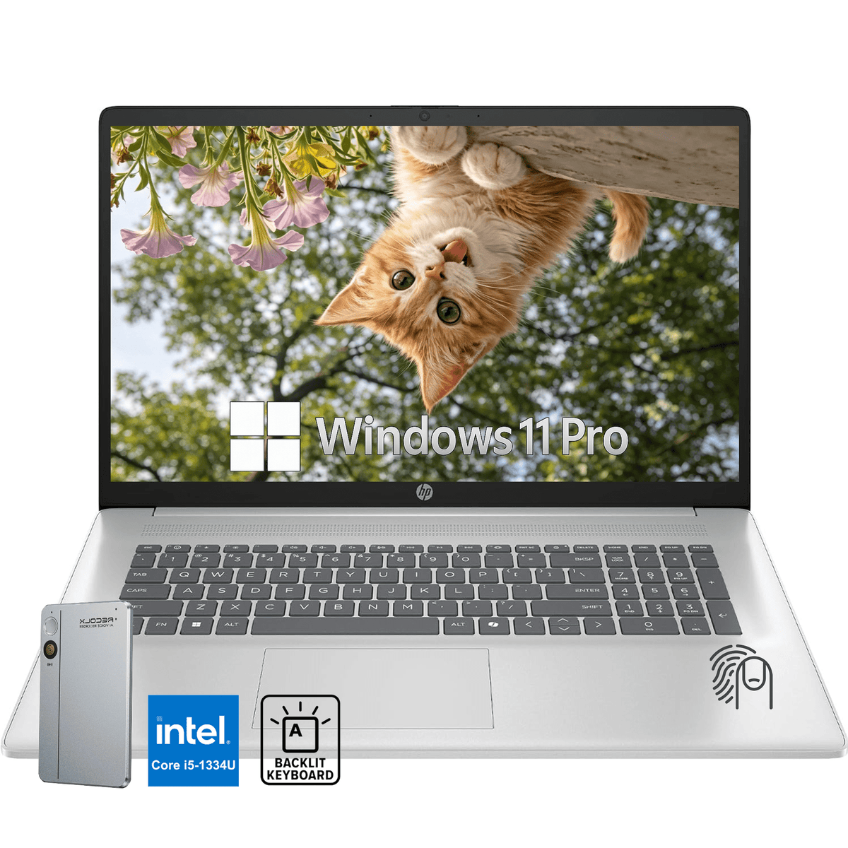 HP 17.3" FHD Business Laptop, Intel 10-Core i5-1334U, Backlit Keyboard, Wi-Fi 6, 32GB RAM 512B SSD, with Reclox AI Voice Recorder