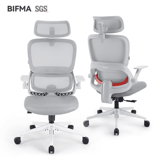 SIHOO B100 Se Office Chair, Deak Chairs with Cotton Seat & Dual-Back, 2D Headrest & Flip-up Armrest, Comfort Mesh Ergonomic Chair for Home Office, Teen, 300lbs, Light Gray