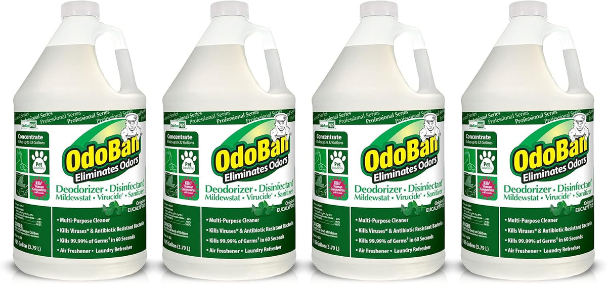 OdoBan Professional Disinfectant Cleaner and Odor Eliminator Concentrate, 2 Gallons, Original Eucalyptus Scent