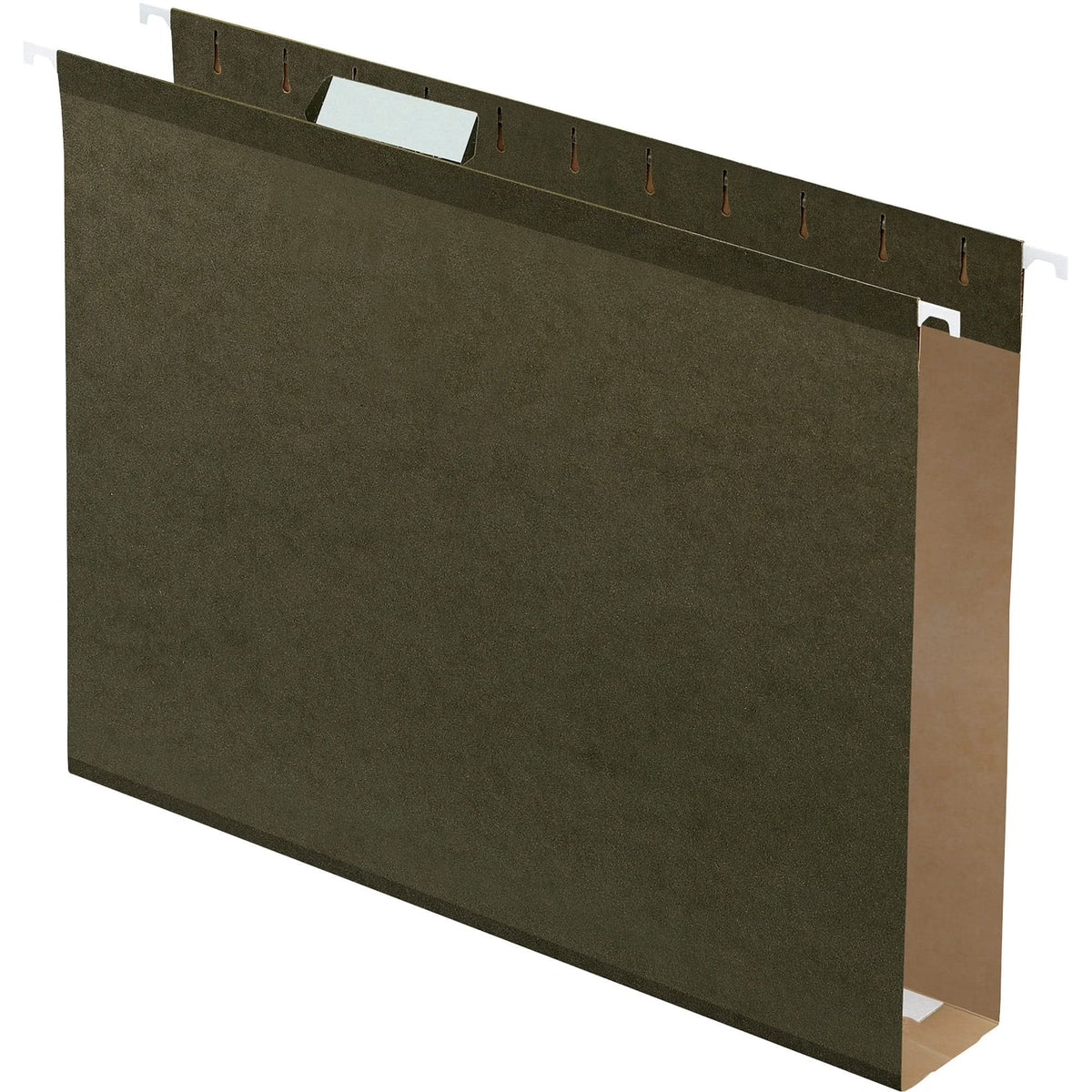 Pendaflex Extra Capacity Poly-laminate Hanging File Folders, Letter Size, 25/Pkg-Green, 1/5 Cut Tab