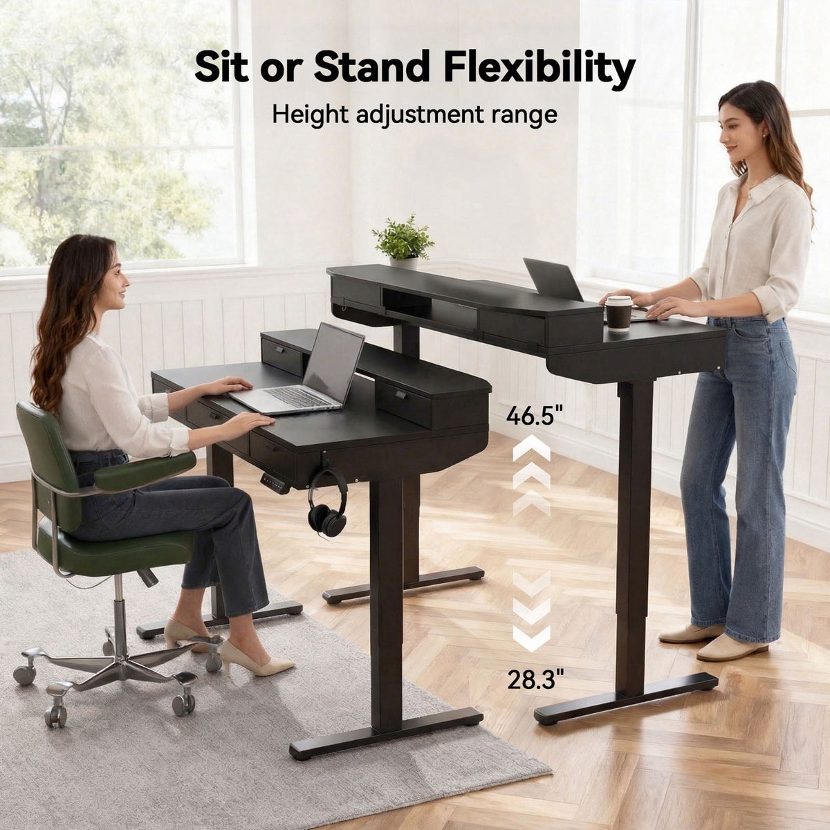 Electric Standing Desk with 5 Drawers, Monitor-Riser Design, 48" x 24" Height Adjustable Sit Stand Desk for Home Office, 4 Preset Pannel, Black