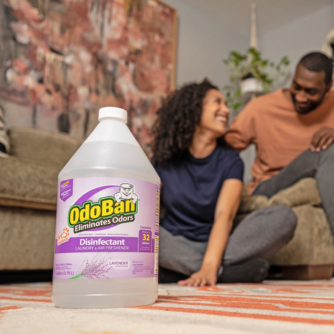 OdoBan Multipurpose Cleaner Concentrate, 2 Gal, Lavender Scent - Odor Eliminator, Disinfectant, Flood Fire Water Damage Restoration